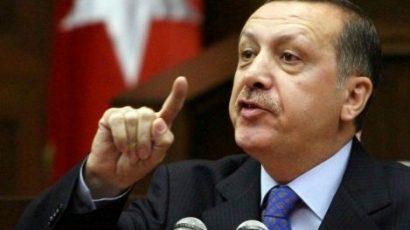 Ердоган предлага референдум за членството на Турция в ЕС