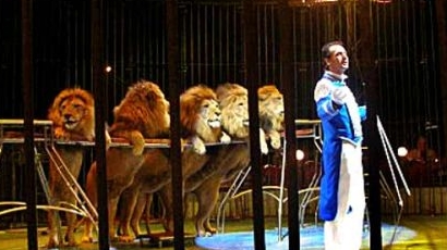 Без лъвове и тигри в цирка