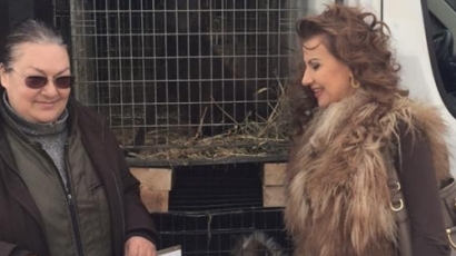 Палто от лисичи кожи попречи на Илиана Раева да мине за зоозащитник