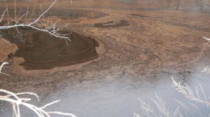 300 л нафта замърсиха река Черна
