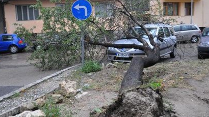 Бури и порои вилнеят в Североизточна България