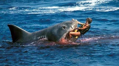 Цветлин Йовчев и голямата гладна акула