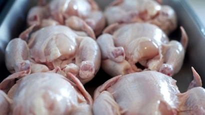 Държавата задържа 100 т пилета и 1 т наркотици   