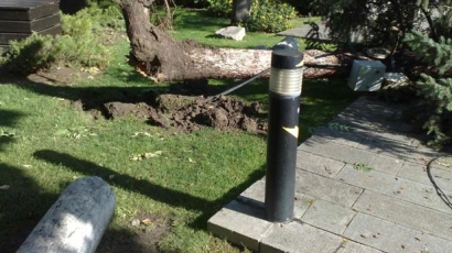 Щетите от бурята в Пловдив: Изкоренени дървета и съборени стълбове 