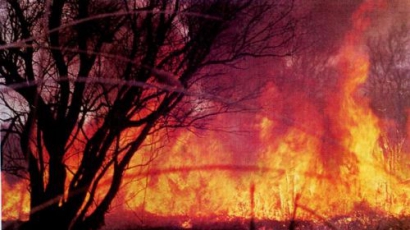Пожар изпепели 3000 дка, обхваща нови територии