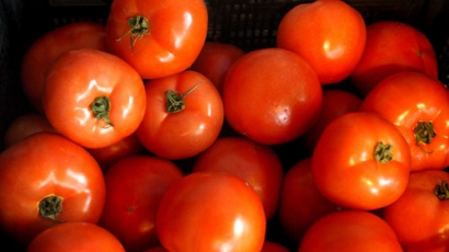 Пловдивски домати с бром на пазара!