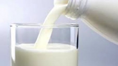Млекопроизводители се готвят за стачка