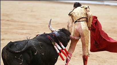 Седем души загинаха след гонка с бикове в Испания