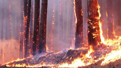 Над 300 души все още борят затихващия огън на Витоша