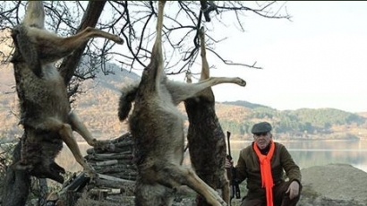 Местан цъфна на снимка с убити три вълка