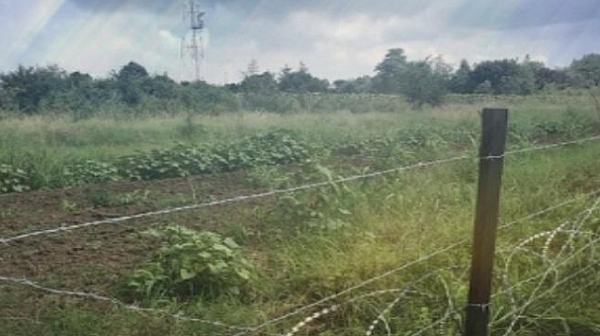 Порожанов ще огледа оградата по границата с Румъния