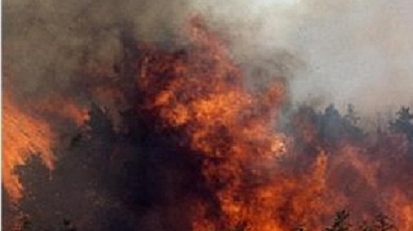 Огнен ад в Португалия, има много загинали!