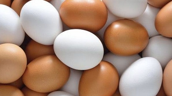 Изтеглят хиляди яйца заради птичи грип