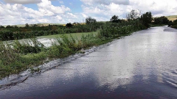 WWF: В България няма живи реки, рибите са застрашени от измиране