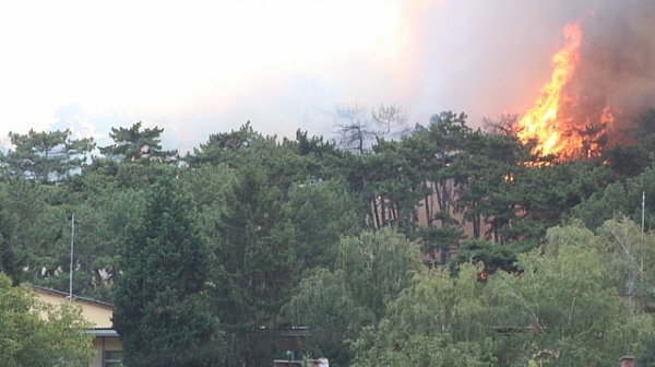 Пожар бушува на метри от къщите в село Войнягово