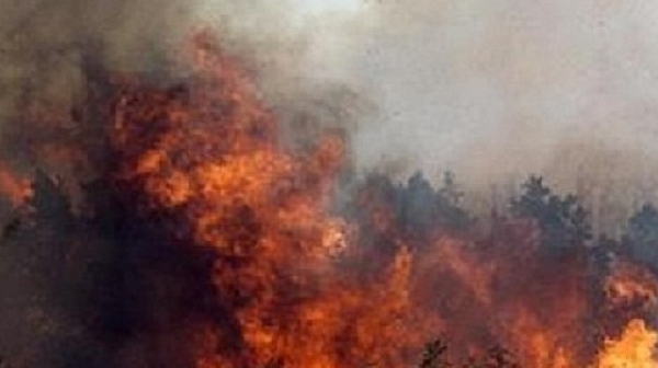 Сформиран е кризисен щаб в посолството ни в Атина заради пожарите