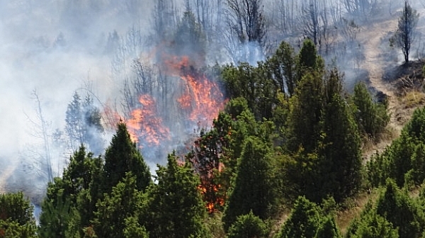 Огънят над Кресна се разраства, евакуират хора