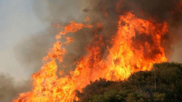 Най-малко 17 ранени при горски пожари в Русия