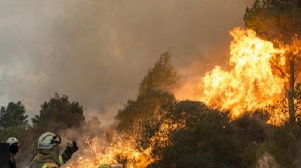 ООН: Пожарите в Северното полукълбо ще променят климата