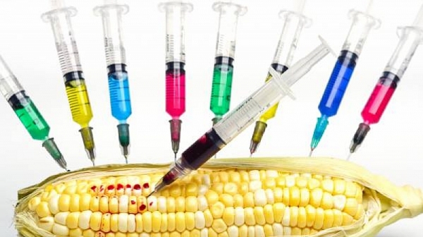 Забраняват рекламата на ГМО храни
