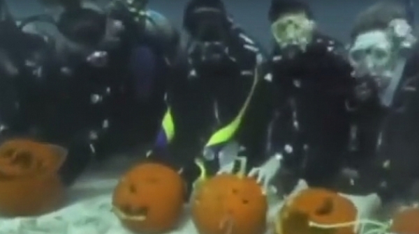 Подводни тиквени декорации във Флорида (видео)