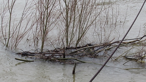 Опасно покачване на нивото на Дунав край Силистра