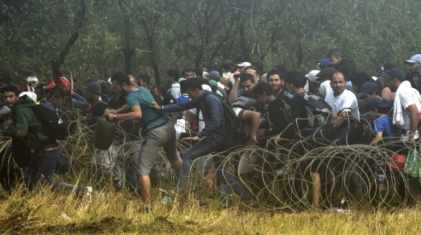 С общи европейски усилия разбиха мащабна банда за трафик на мигранти