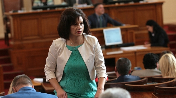 Дариткова: Данните на Камен Плочев объркаха депутатите