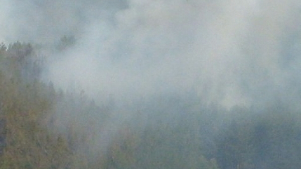 Горски пожар бушува край Белица
