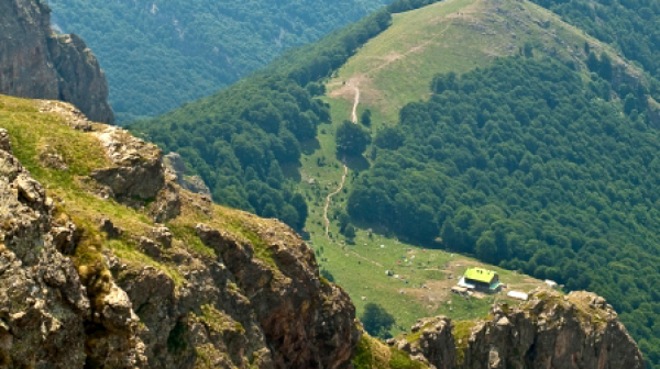 Спасяват нападнат от диво прасе турист в Стара планина