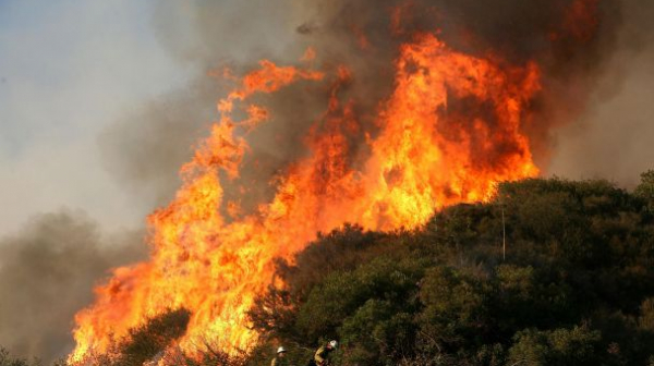 Пожар обхвана гора и растителност край Харманли