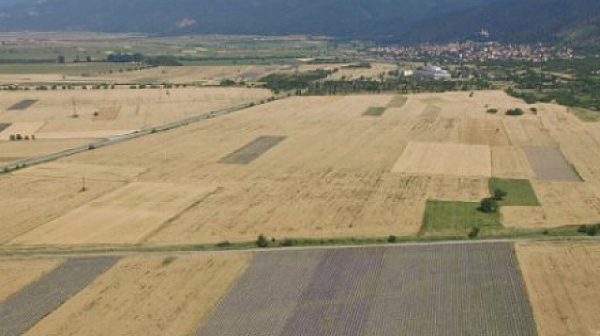 Дават под наем земеделски земи от държавния поземлен фонд в Разградско