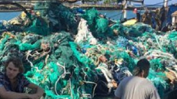 Доброволци извадиха 40 тона рибарски мрежи захвърлени в Тихия океан