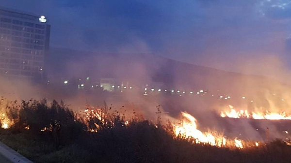 Потушиха двата пожара до летище ”София”