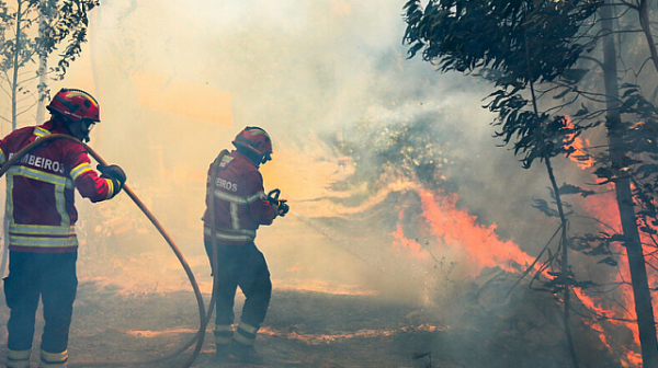 Хиляда пожарникари се борят с горски пожари в Португалия