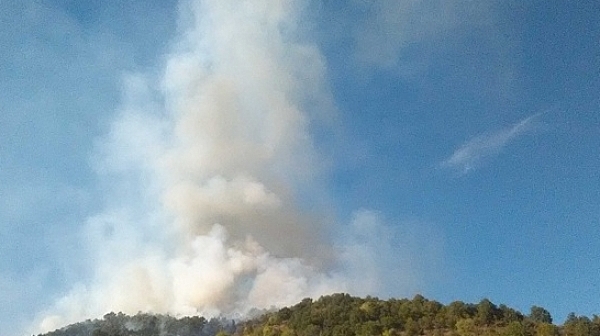 Голям пожар във вилната зона в Благоевград
