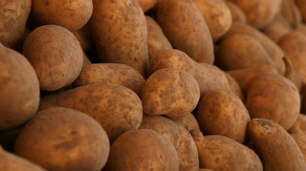 Има ли схема за източване на евросредства чрез картофи?