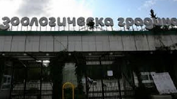 Български вегански съюз: Маймуни загиват в софийския зоопарк заради ремонт