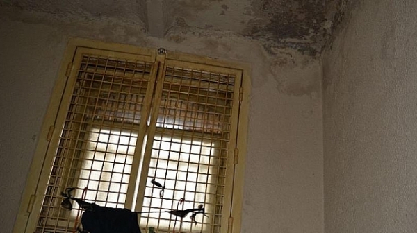 Maнoлoвa показа ужасяващите условия в килиите на Иванчева и Петрова /снимки/