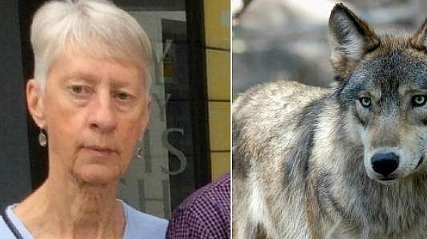 Ужас в Гърция: Вълци разкъсаха 63-годишна британска туристка