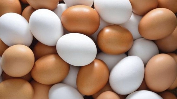 Отровни яйца на пазара в Германия, Холандия и Белгия