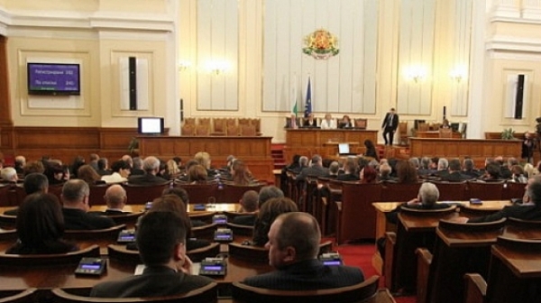 Парламентът избра Николова за вицепремиер в отсъствието на Борисов и ”Атака”