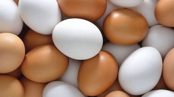 Яйцата понижават кръвната захар и кръвното налягане