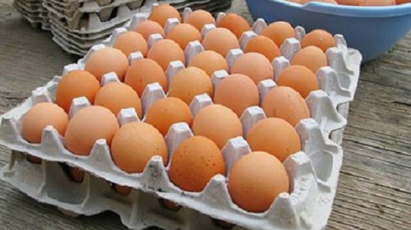 Яйцата с фипронил достигнали и до България