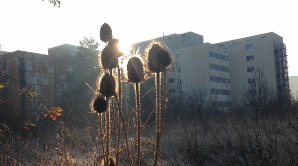 Галъп: Мнозинството от българите искат мерки за чист въздух