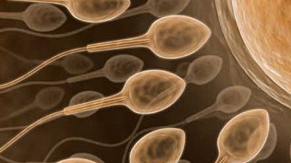 Учени: Мръсен въздух - малки сперматозоиди и проблем със зачеването