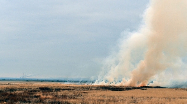 Военни гасиха пожар в Хасковско
