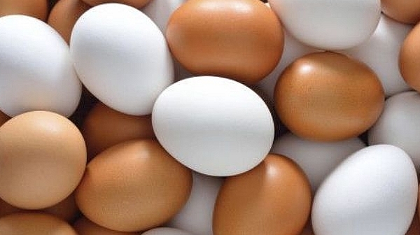Цената на яйцата скочи с близо 12%