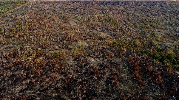 Бразилия няма ресурси да се бори с пожарите в Амазонската джунгла