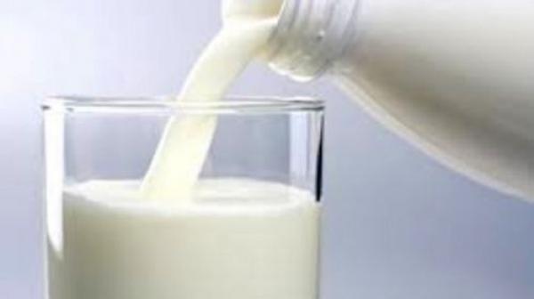 Нов вид полезна бактерия за кисело мляко откриха у нас